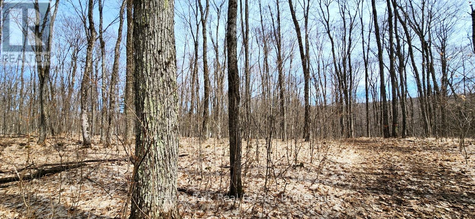 0 Skyline Drive Property Photo 13