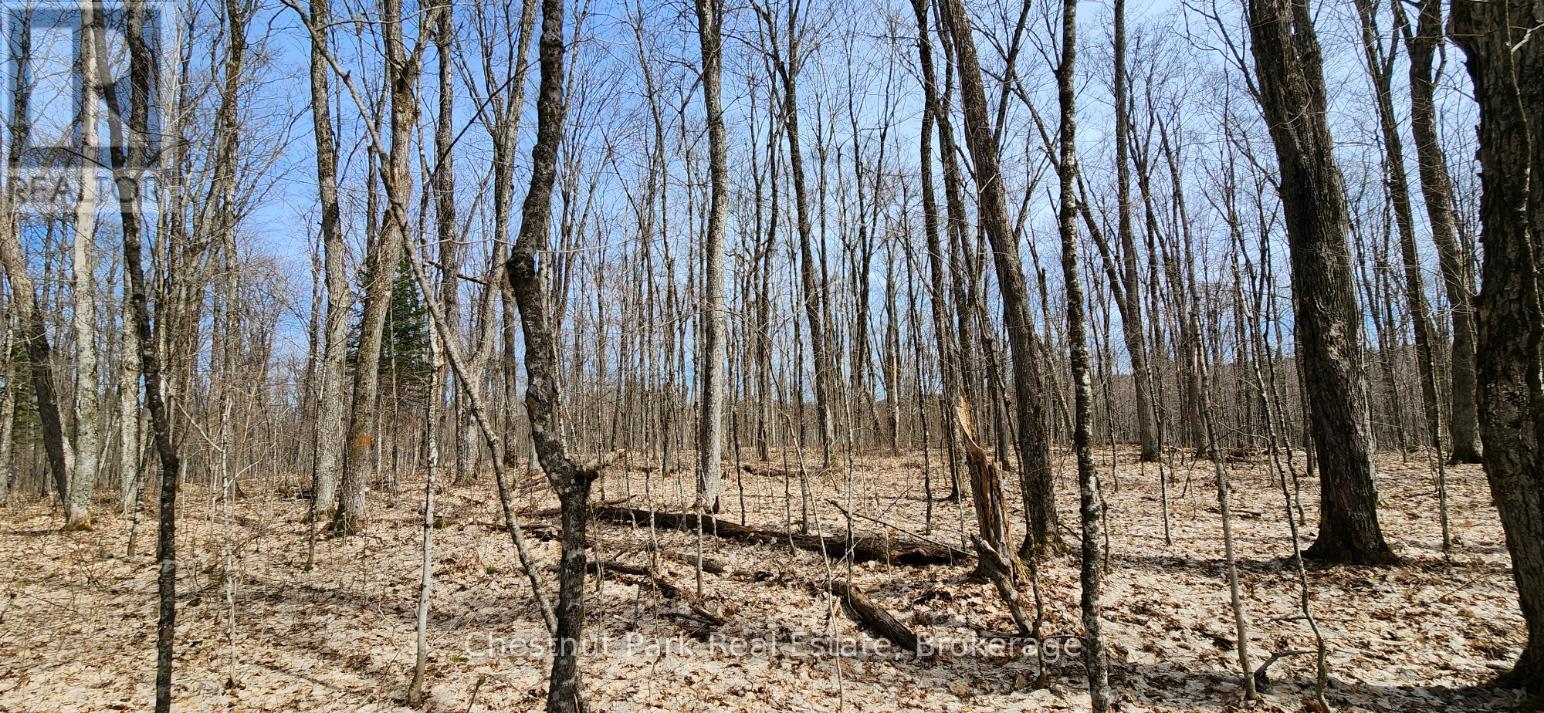0 Skyline Drive Property Photo 14