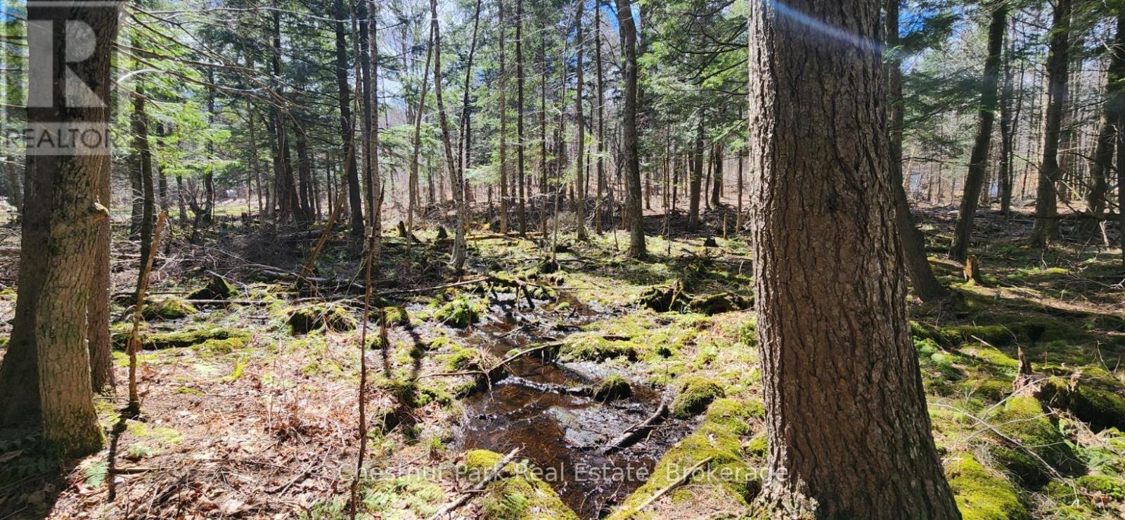 0 Skyline Drive Property Photo 16