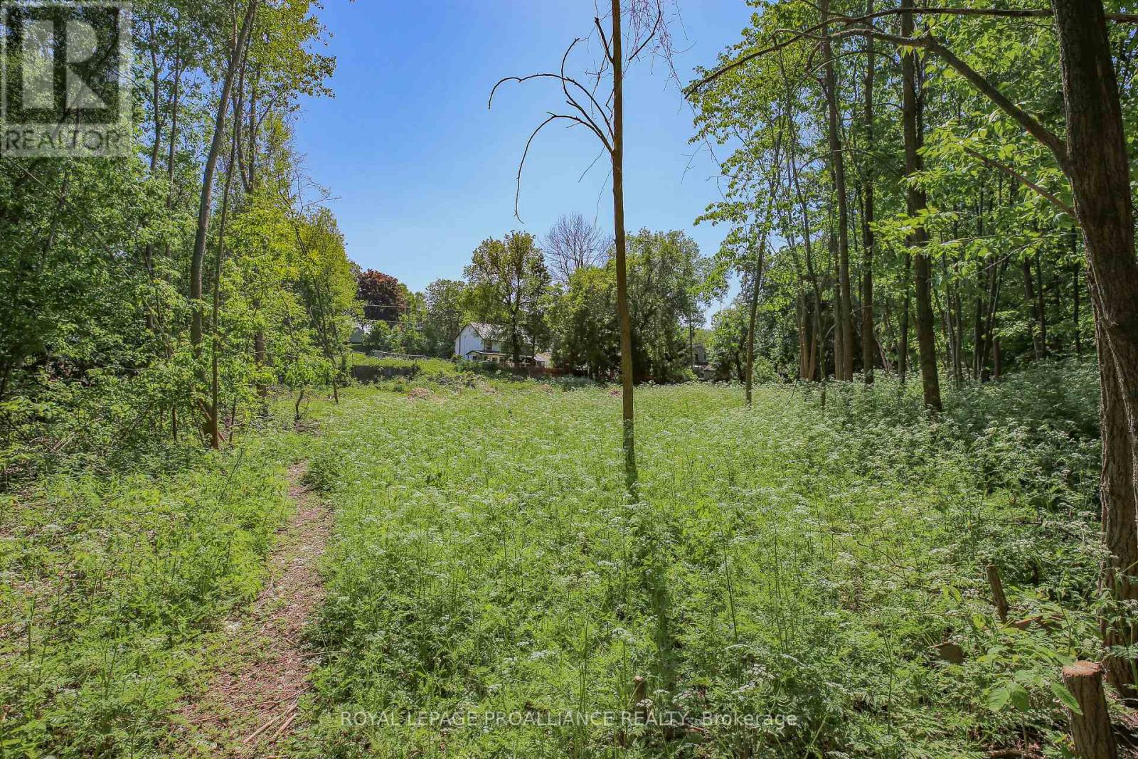 0 Edward Street Property Photo 6