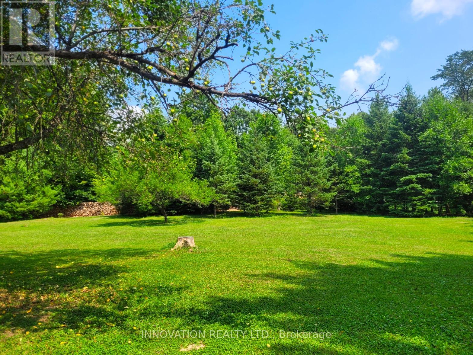 270 Maclarens Side Road Property Photo 38