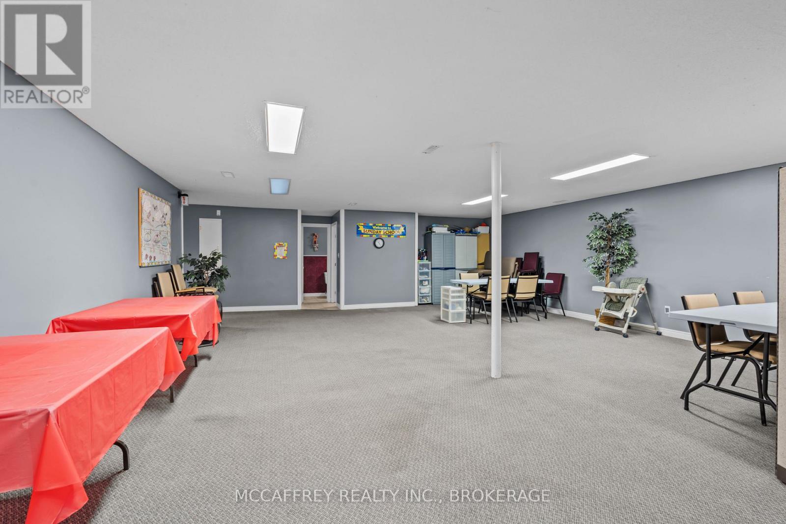 4 Neely Street Property Photo 24