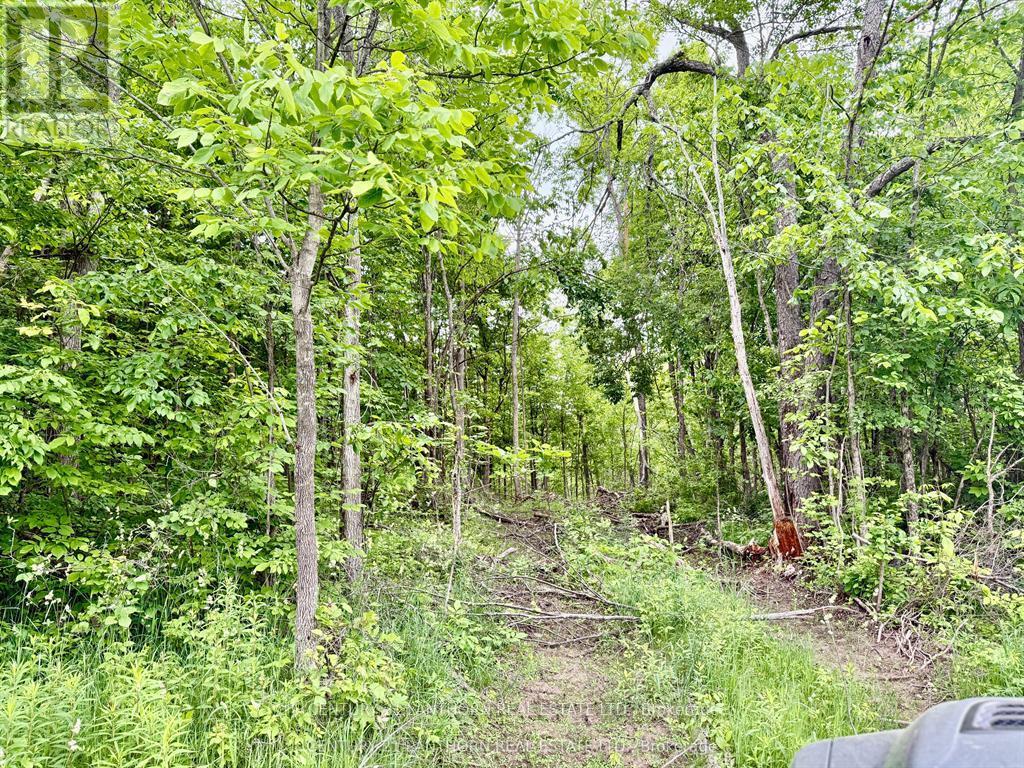 00 Cooper Road Property Photo 4