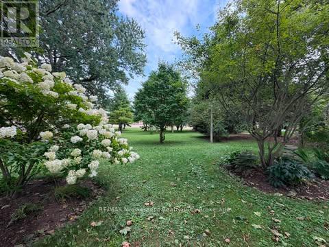 69 Louise Street Property Photo 3