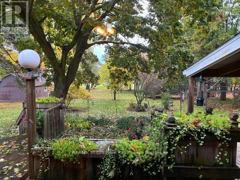 69 Louise Street Property Photo 4