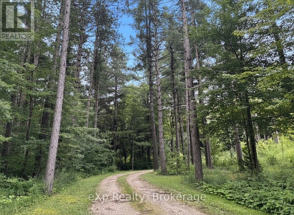 303709 South Line Property Photo 6