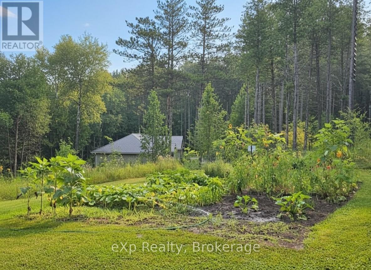 303709 South Line Property Photo 10