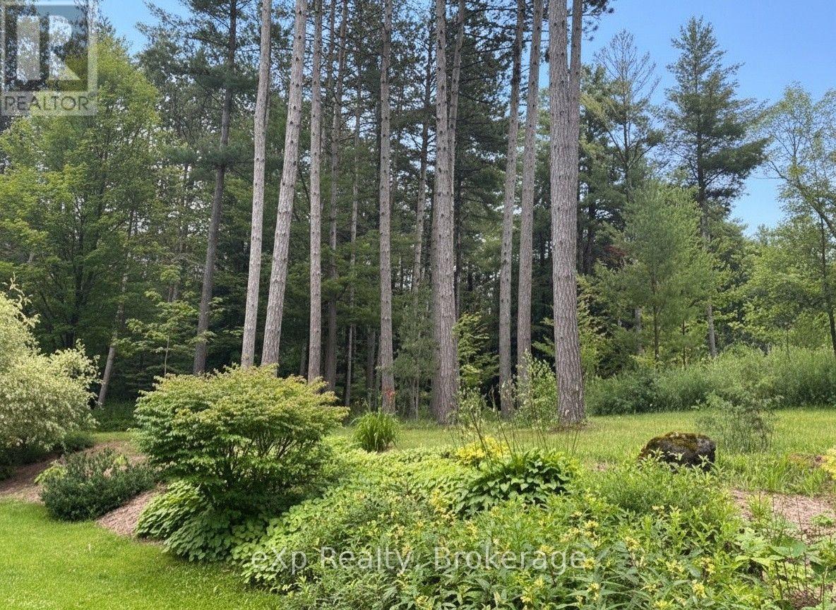 303709 South Line Property Photo 11