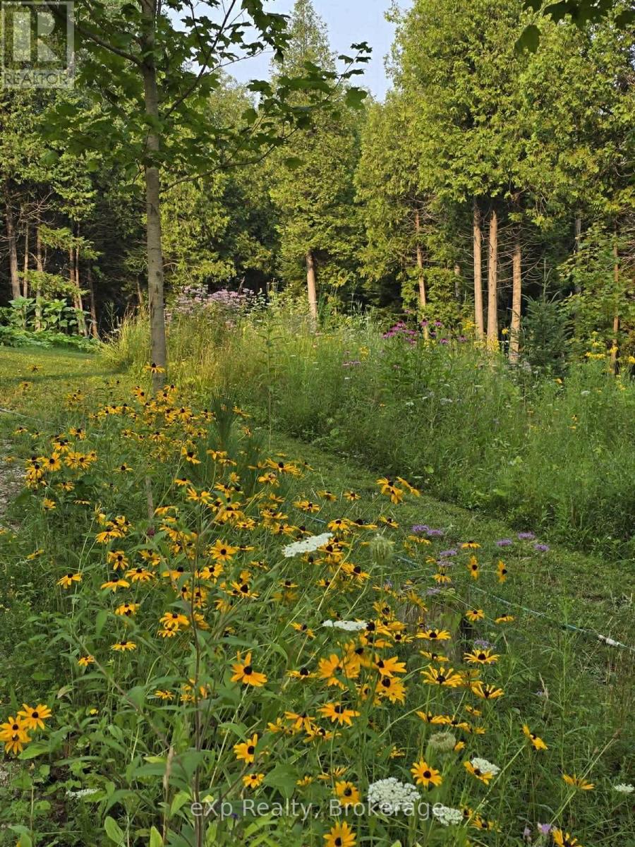 303709 South Line Property Photo 12