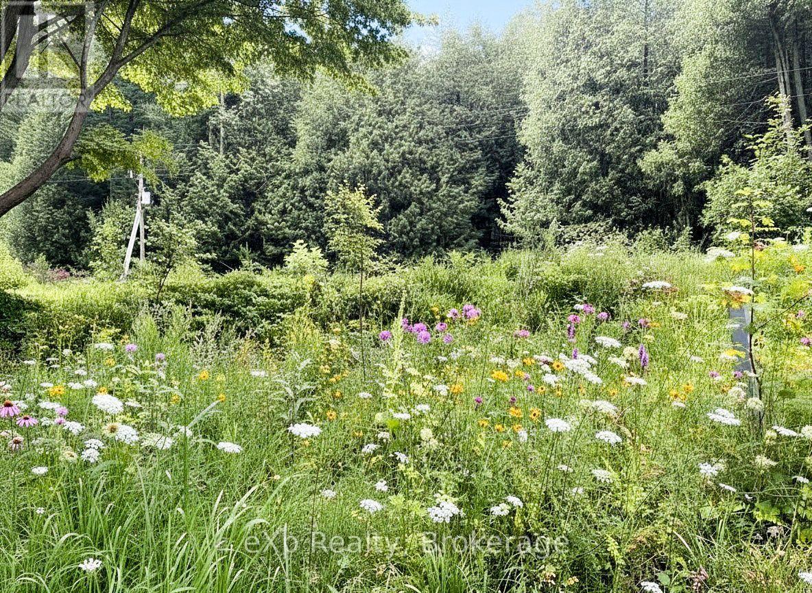 303709 South Line Property Photo 13