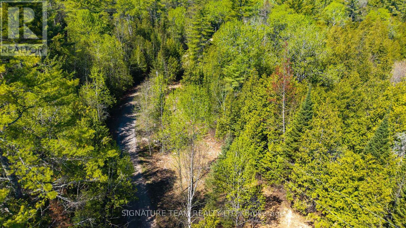 00 Red Ash Trail Property Photo 6