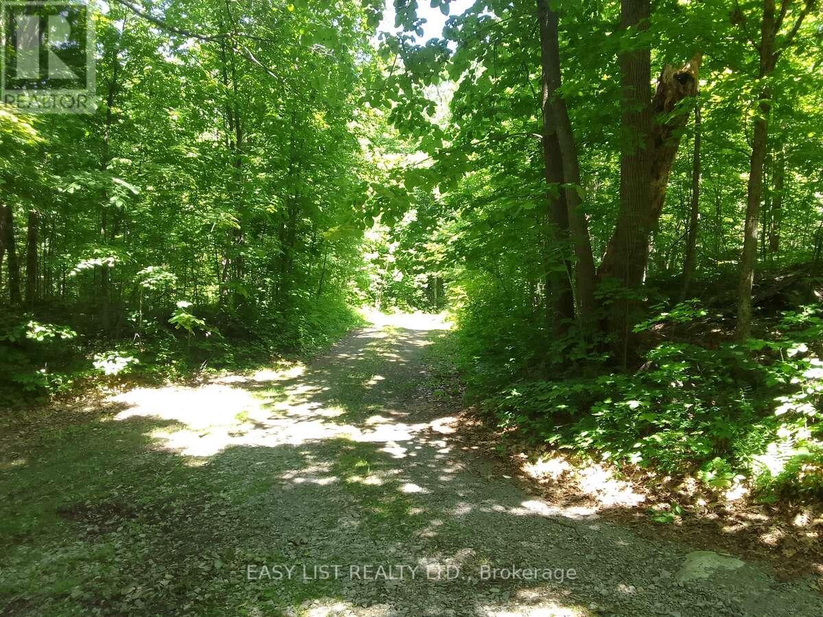 75 - 372 Murphy Road Property Photo 11