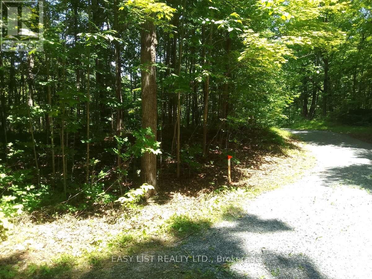 75 - 372 Murphy Road Property Photo 13