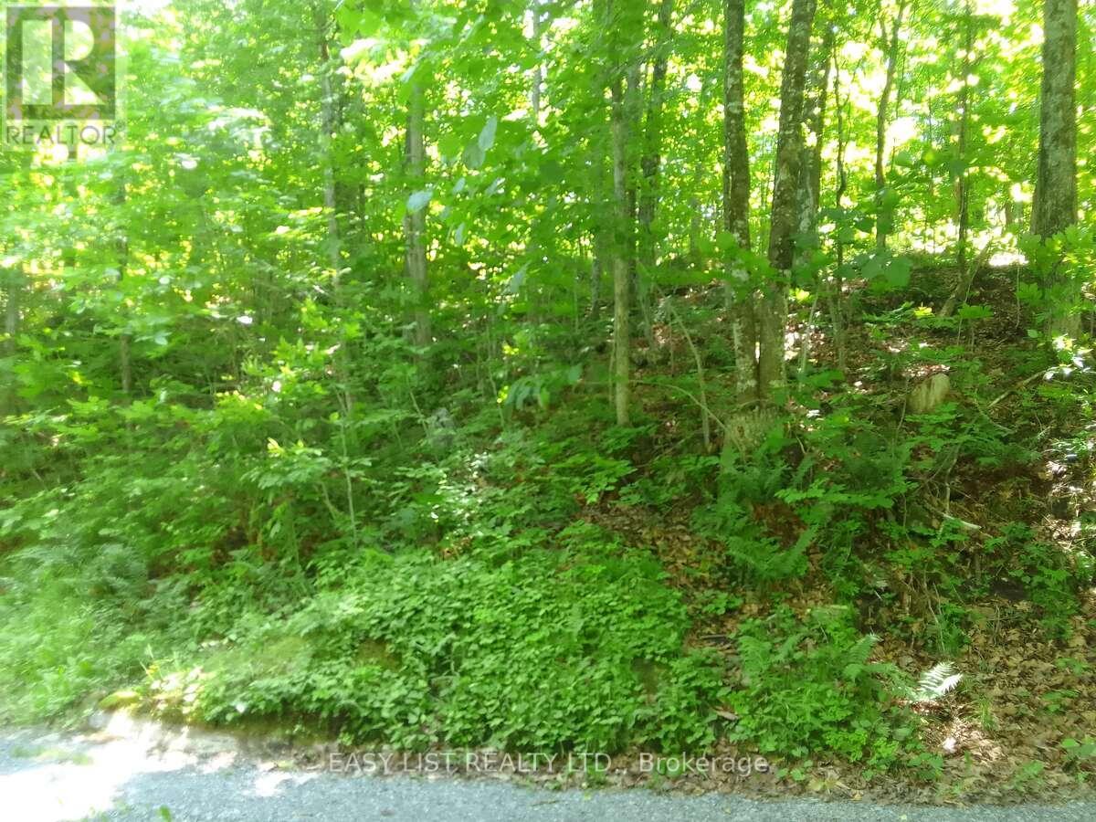 75 - 372 Murphy Road Property Photo 15
