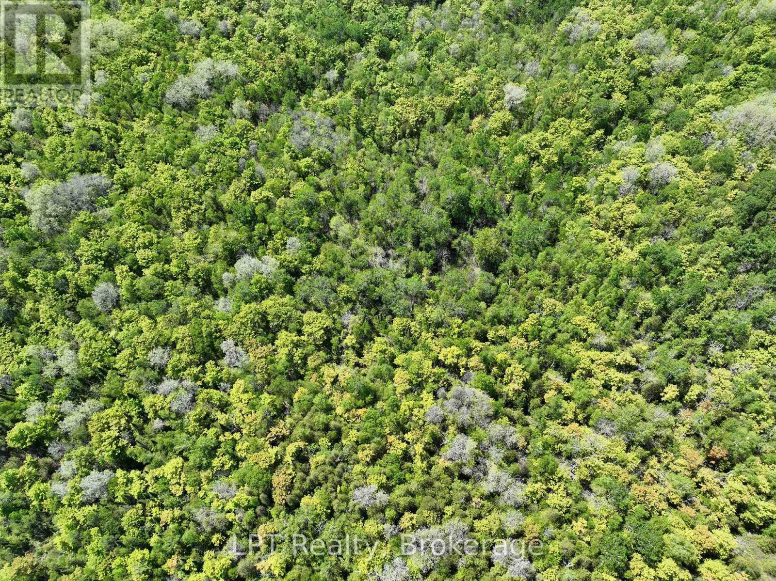 101 Log Cabin Lane Property Photo 6