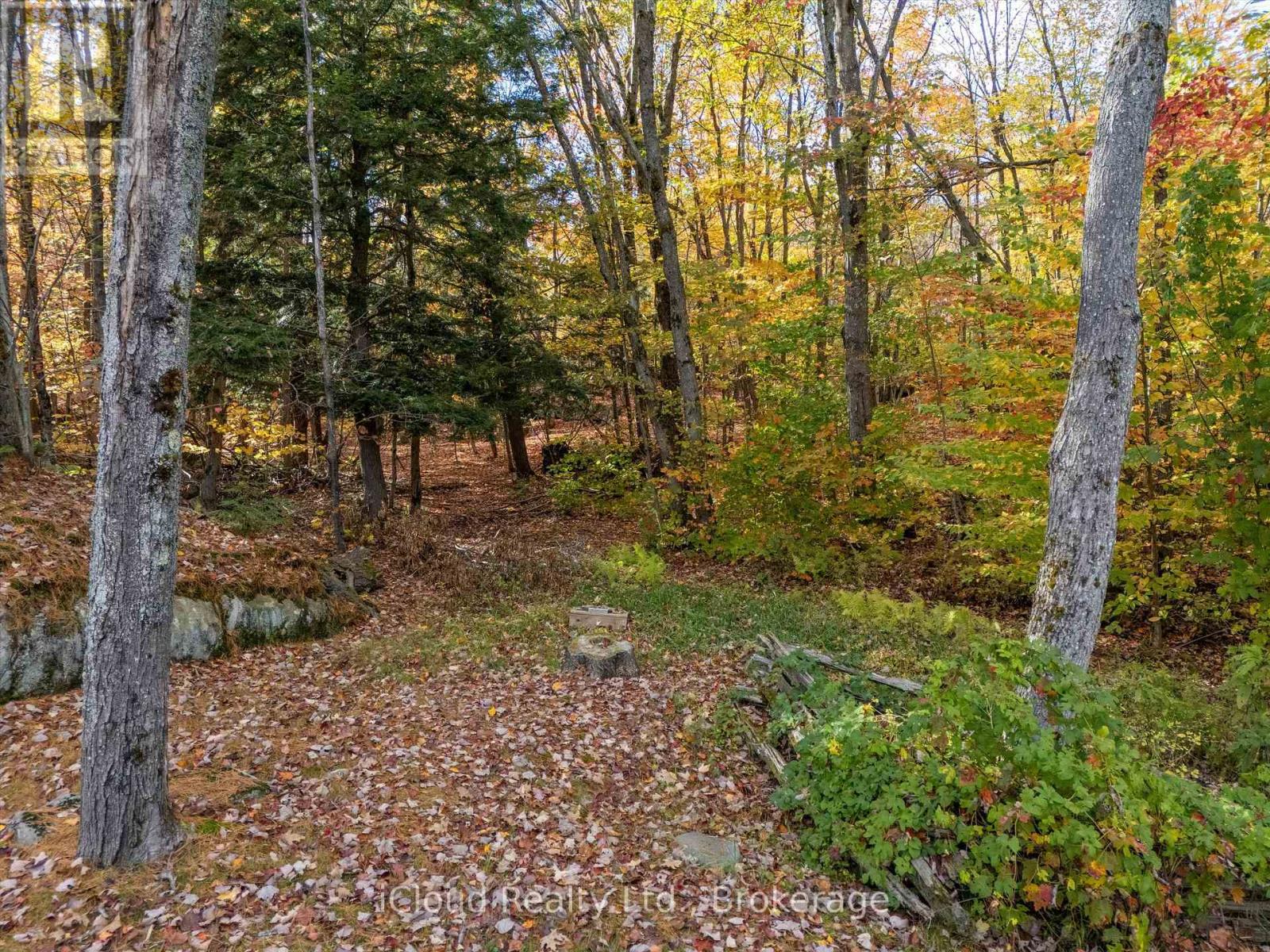 6 Springhill Road Property Photo 28