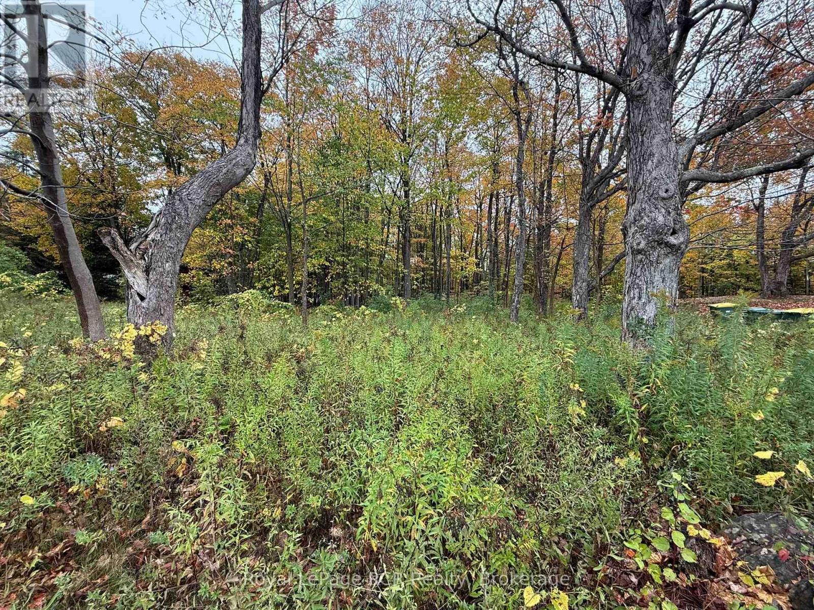 Lot 8 Green Acres Road Property Photo 8