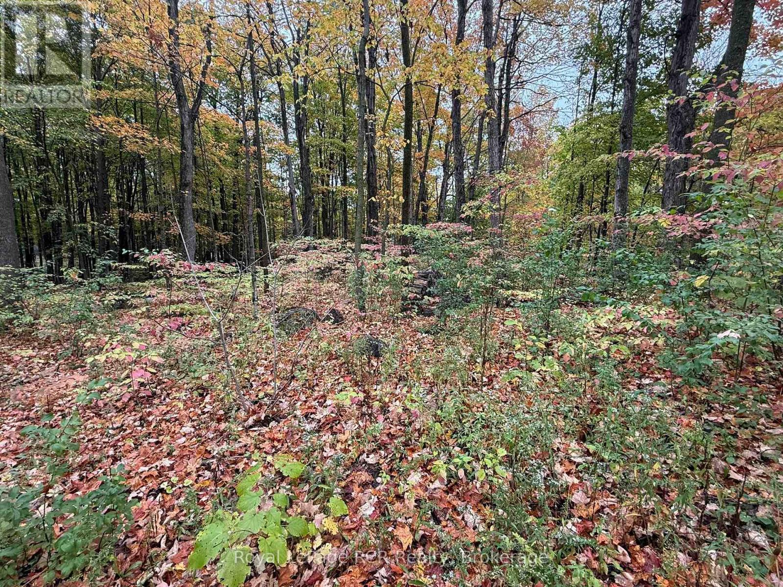 Lot 8 Green Acres Road Property Photo 15
