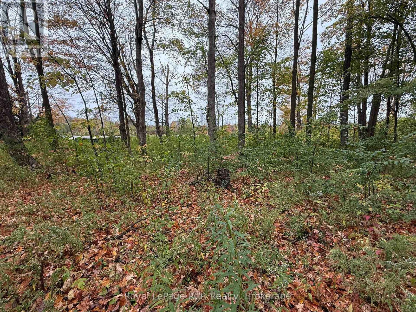 Lot 8 Green Acres Road Property Photo 16