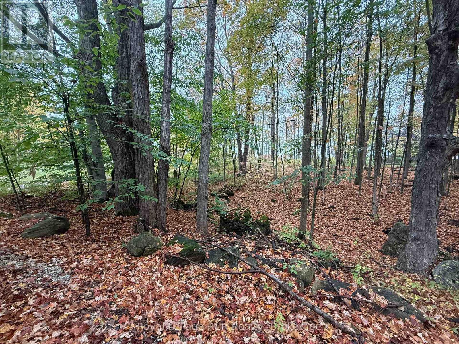 Lot 8 Green Acres Road Property Photo 19