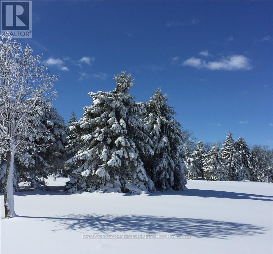 1042 River Road Property Photo 37