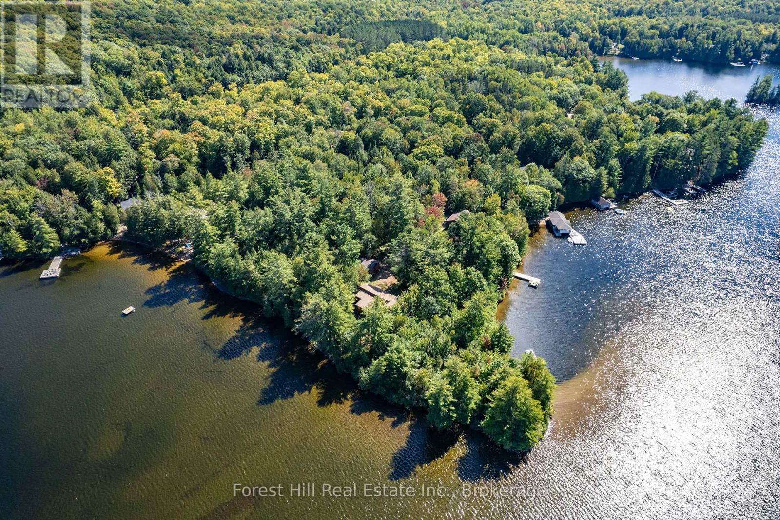 2 - 2991 Muskoka Rd 117 Road Property Photo 4