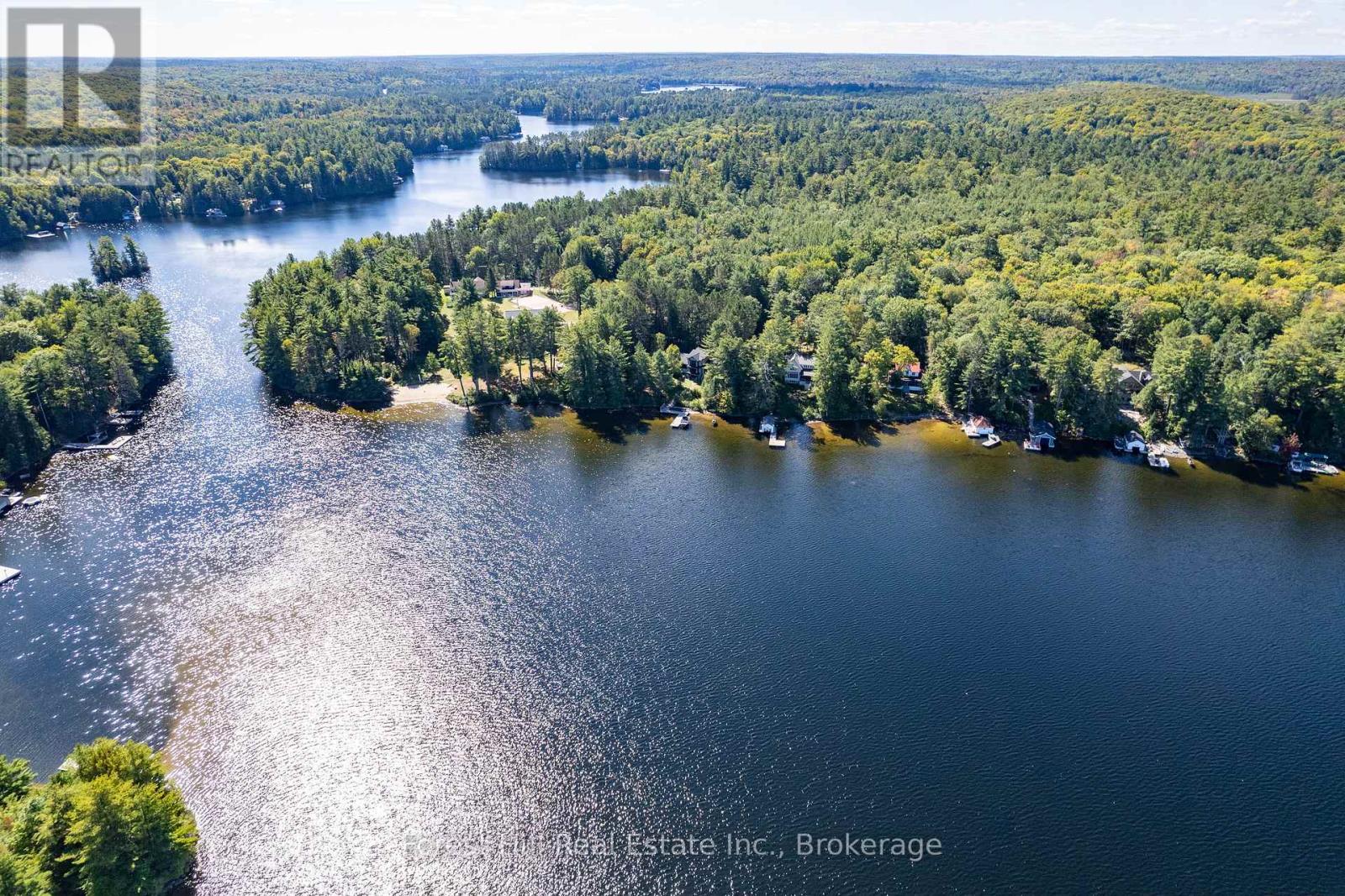 2 - 2991 Muskoka Rd 117 Road Property Photo 5