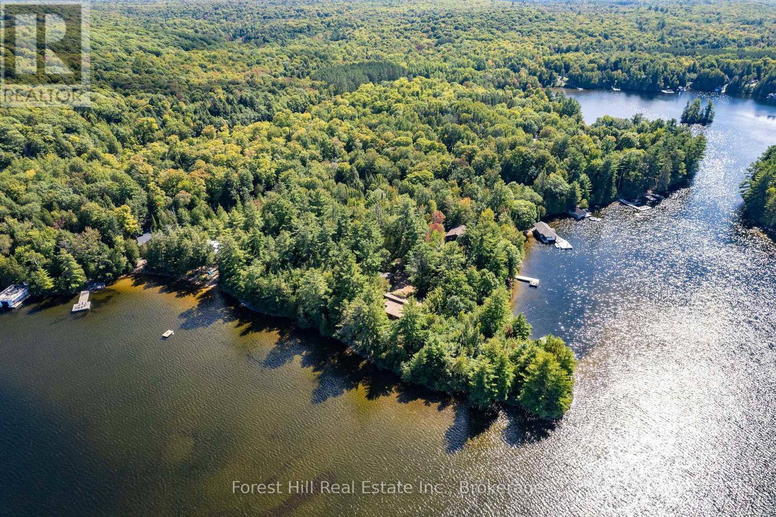 2 - 2991 Muskoka Rd 117 Road Property Photo 10