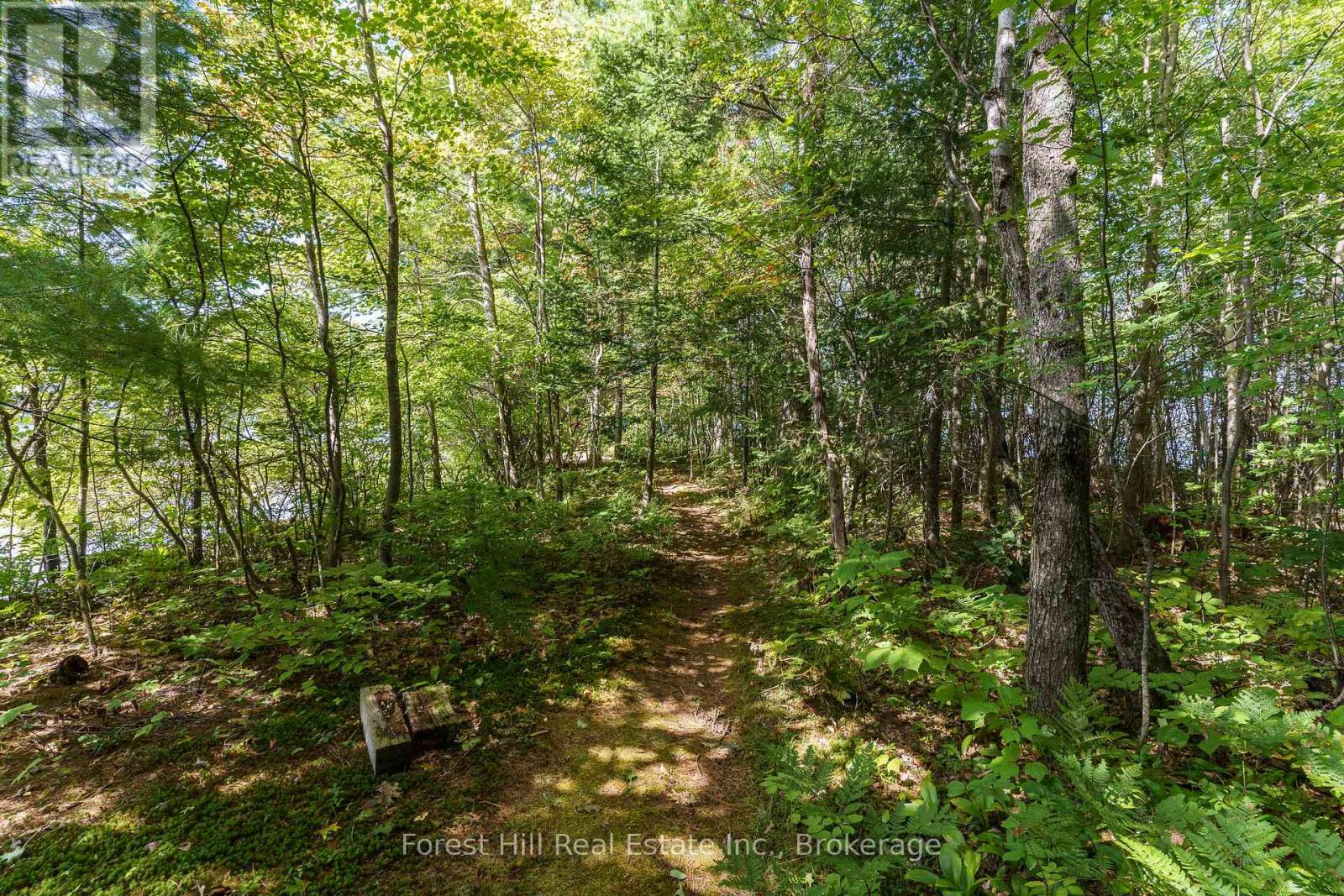 2 - 2991 Muskoka Rd 117 Road Property Photo 13