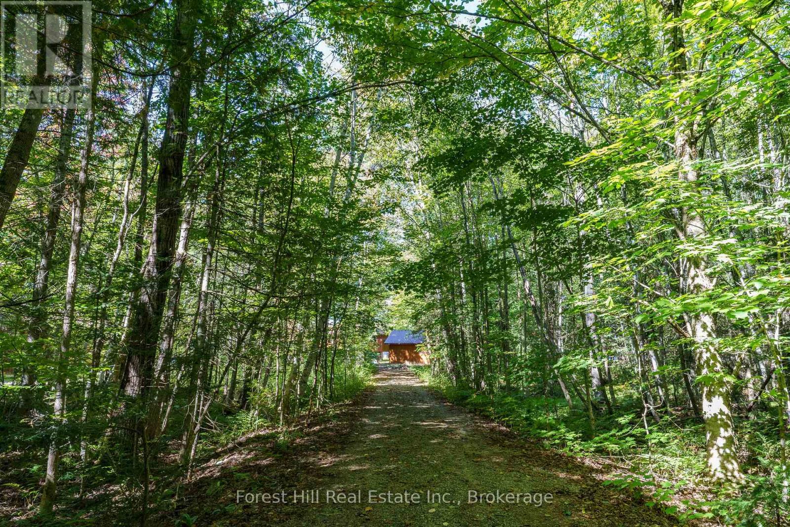 2 - 2991 Muskoka Rd 117 Road Property Photo 26