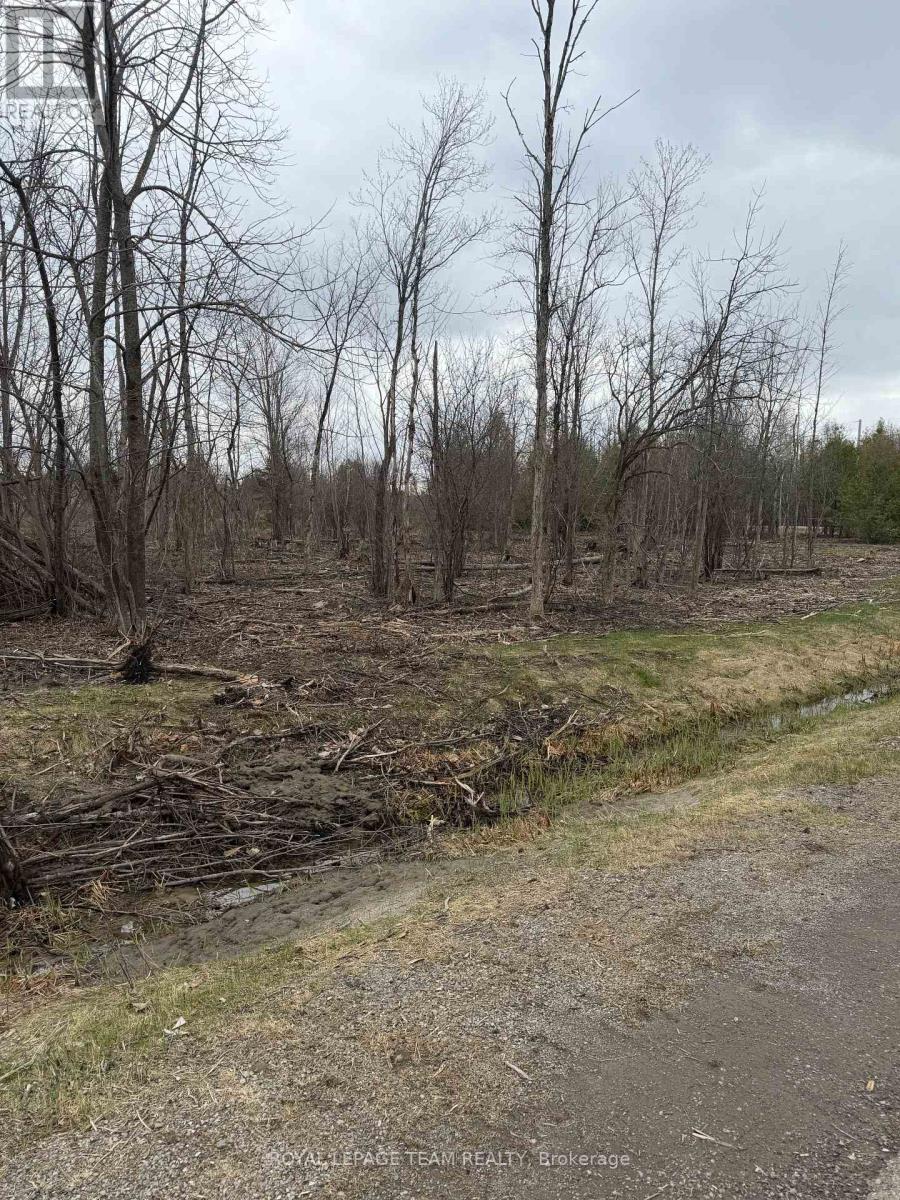 8074 Adam Baker Way Property Photo 5