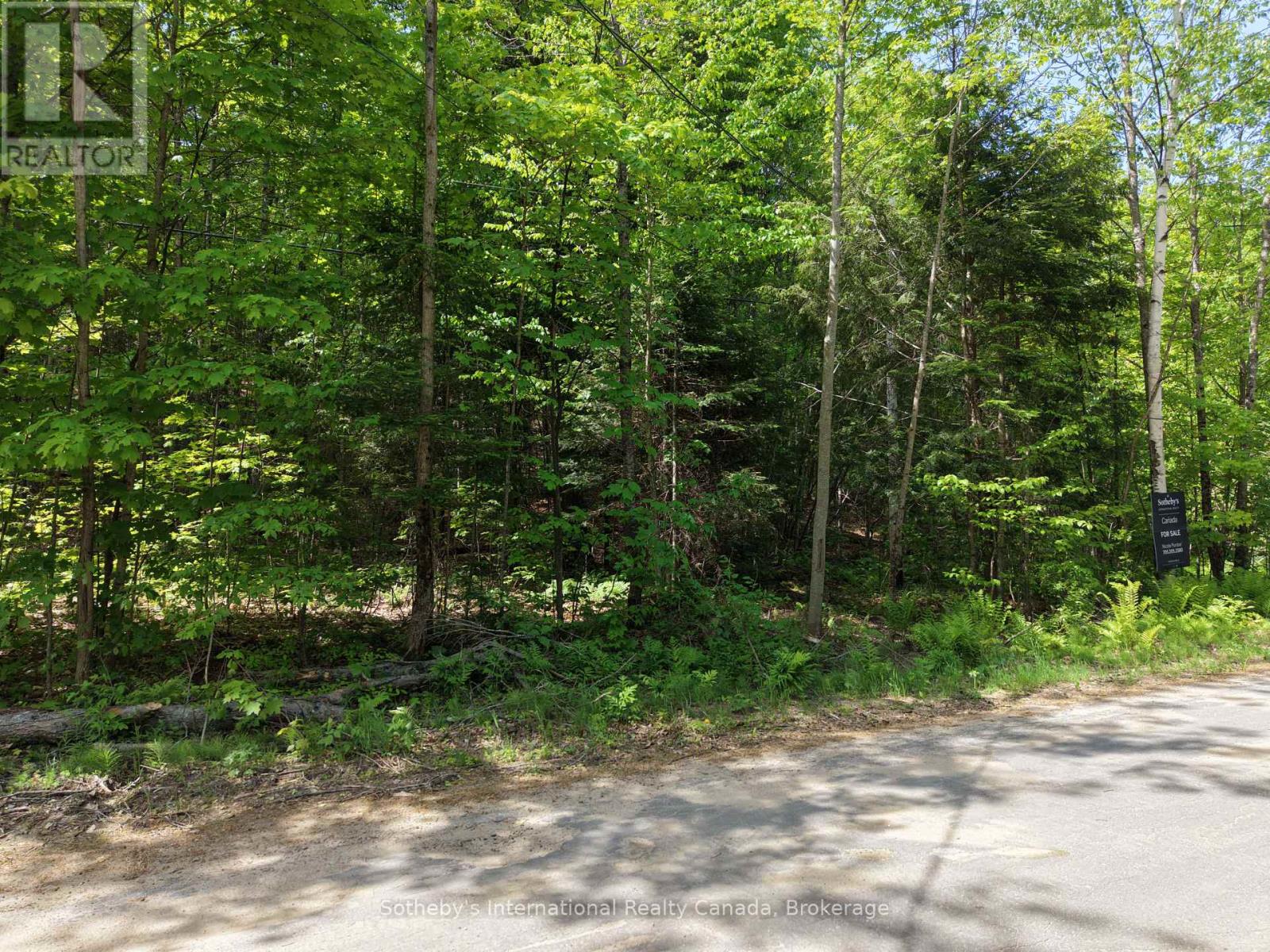 0 Mink Lot 17 Road Property Photo 6