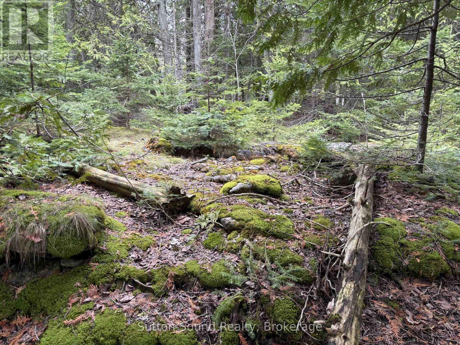 Pt Lt35 Con 3 Wbr Pt 77 Concession Property Photo 8