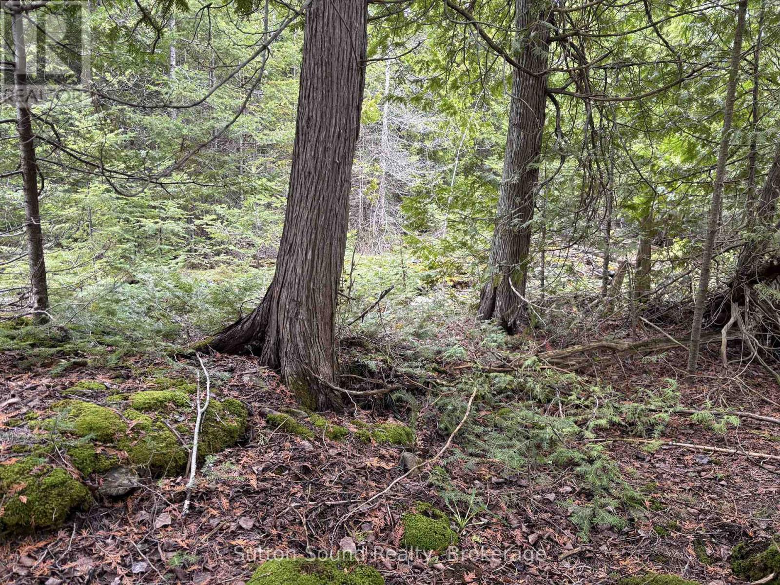 Pt Lt35 Con 3 Wbr Pt 77 Concession Property Photo 9