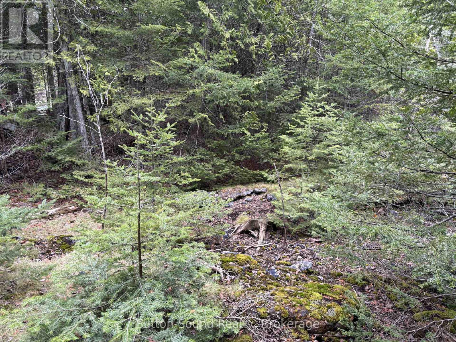 Pt Lt35 Con 3 Wbr Pt 77 Concession Property Photo 10
