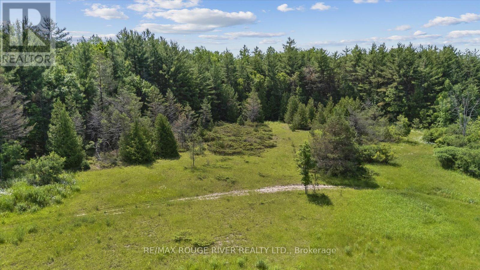 102184 Highway 7 Property Photo 5