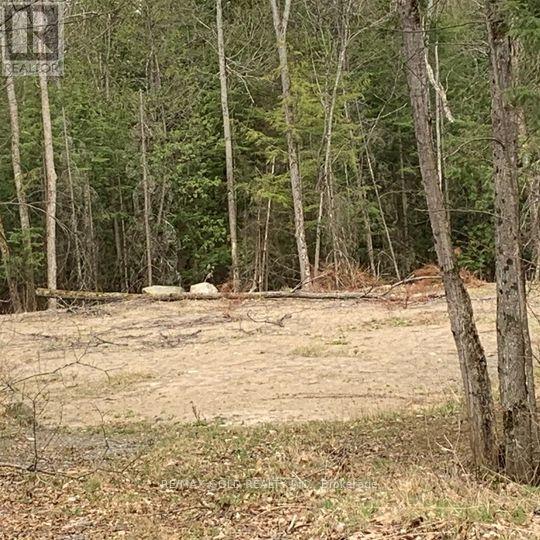 5 Mountain Basin Drive Property Photo 2