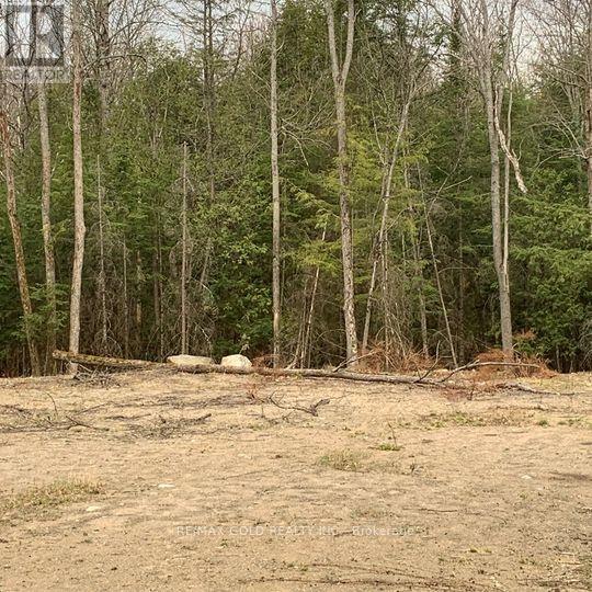 5 Mountain Basin Drive Property Photo 4
