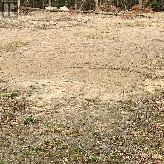 5 Mountain Basin Drive Property Photo 5