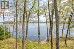 787 Sherbrooke Drive Property Photo 4
