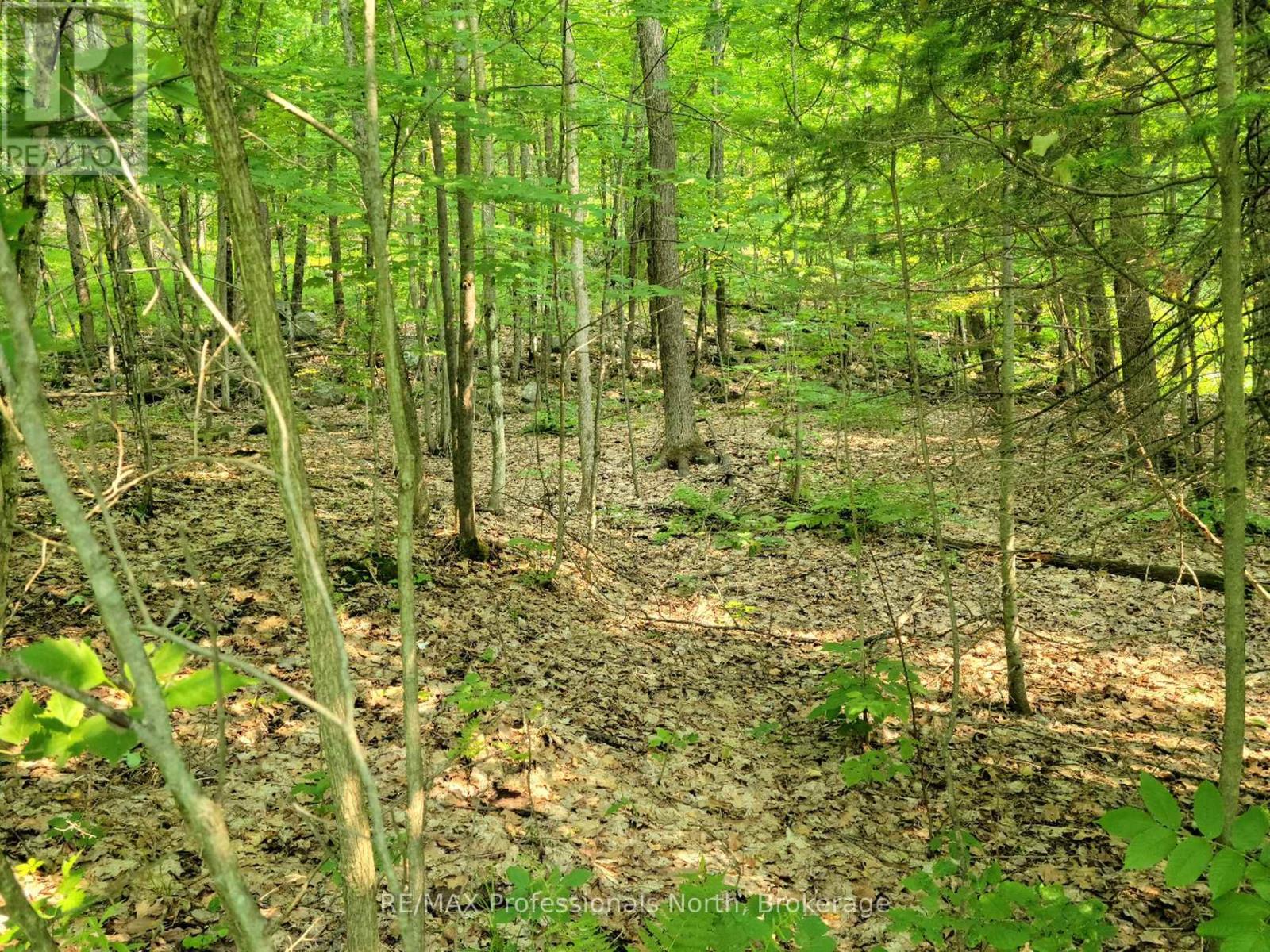 22 - 32 MOUNT VERNON TRAIL Property Photo 1