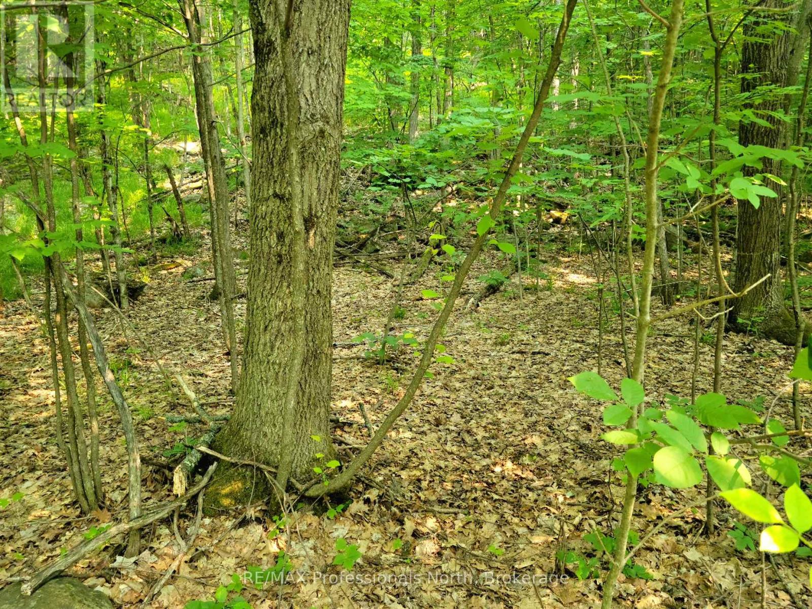 19 - 26 Mount Vernon Trail Property Photo 3
