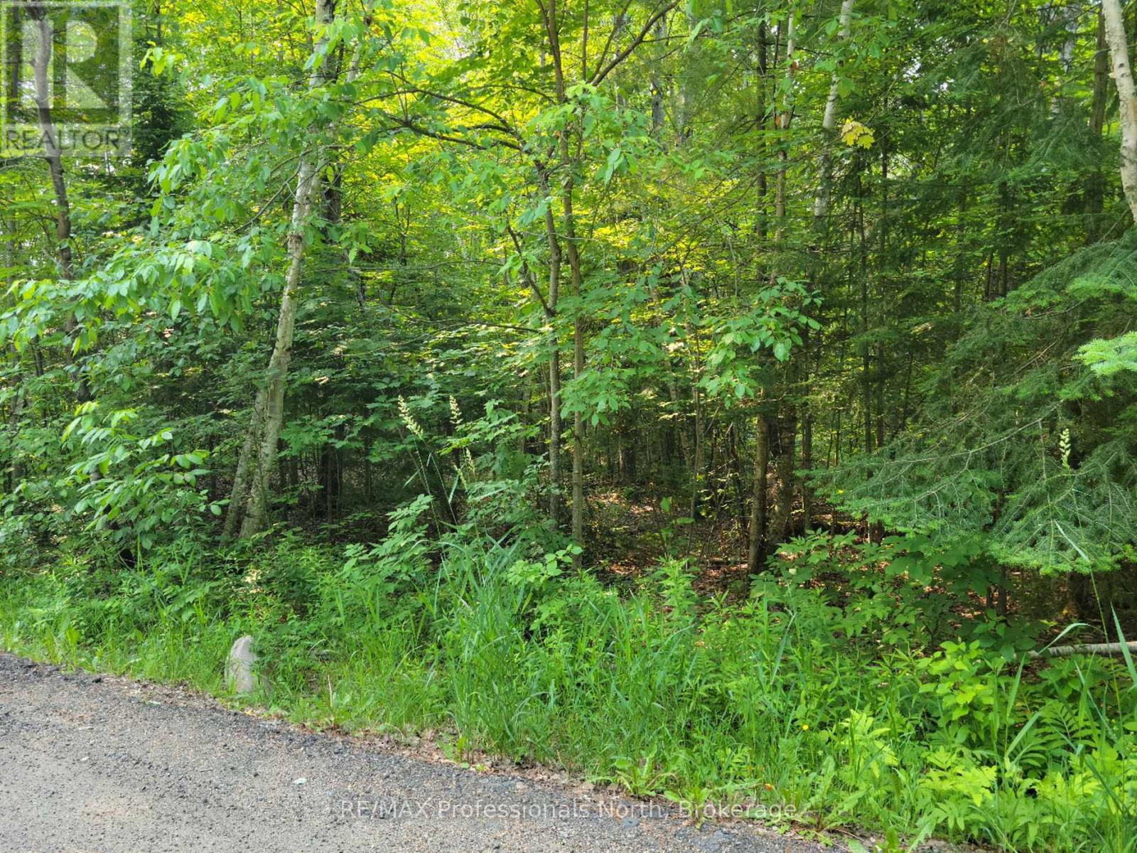 29 - 29 Mount Vernon Trail Property Photo 3