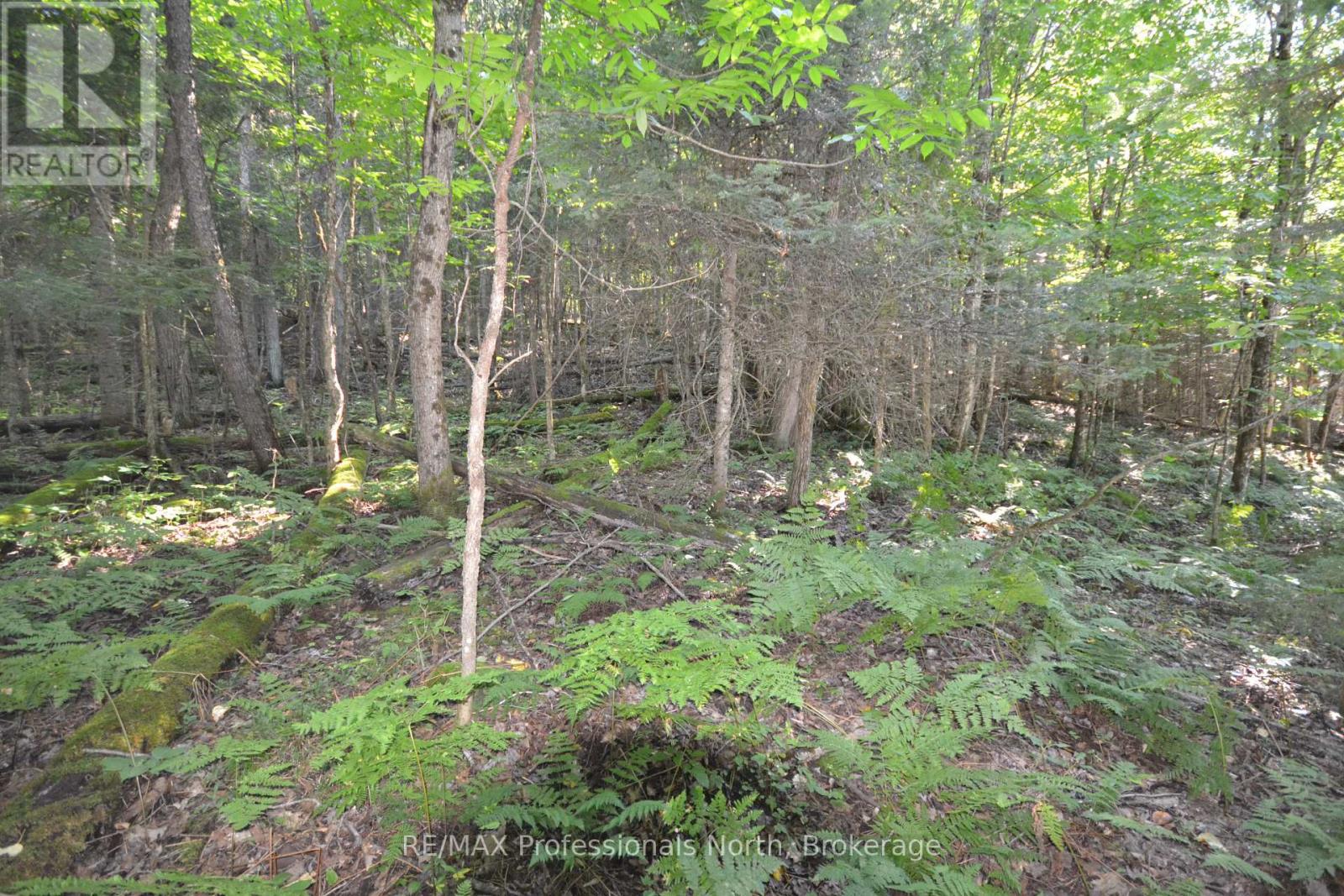 0 Fred Jones Road Property Photo 11