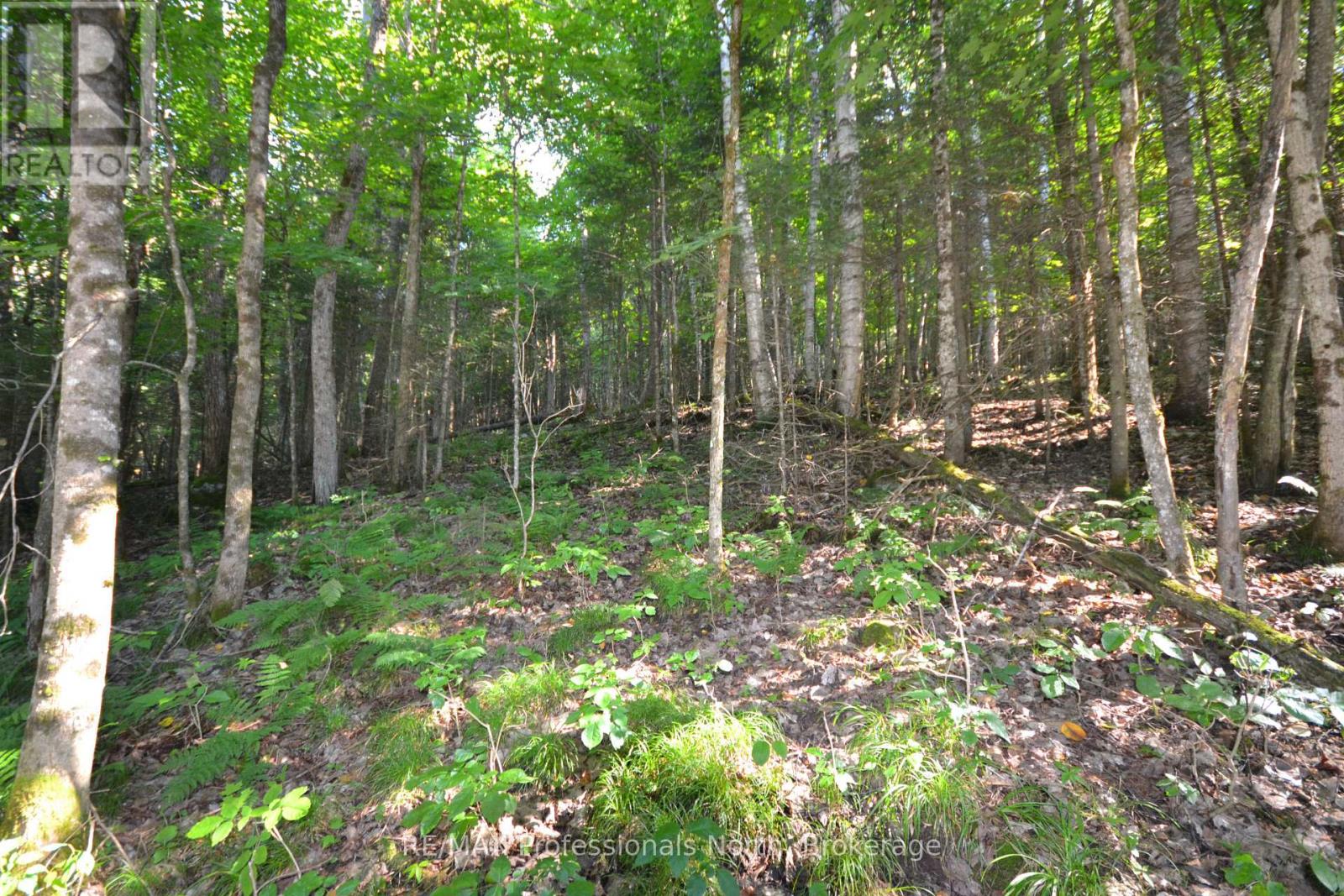 0 Fred Jones Road Property Photo 13