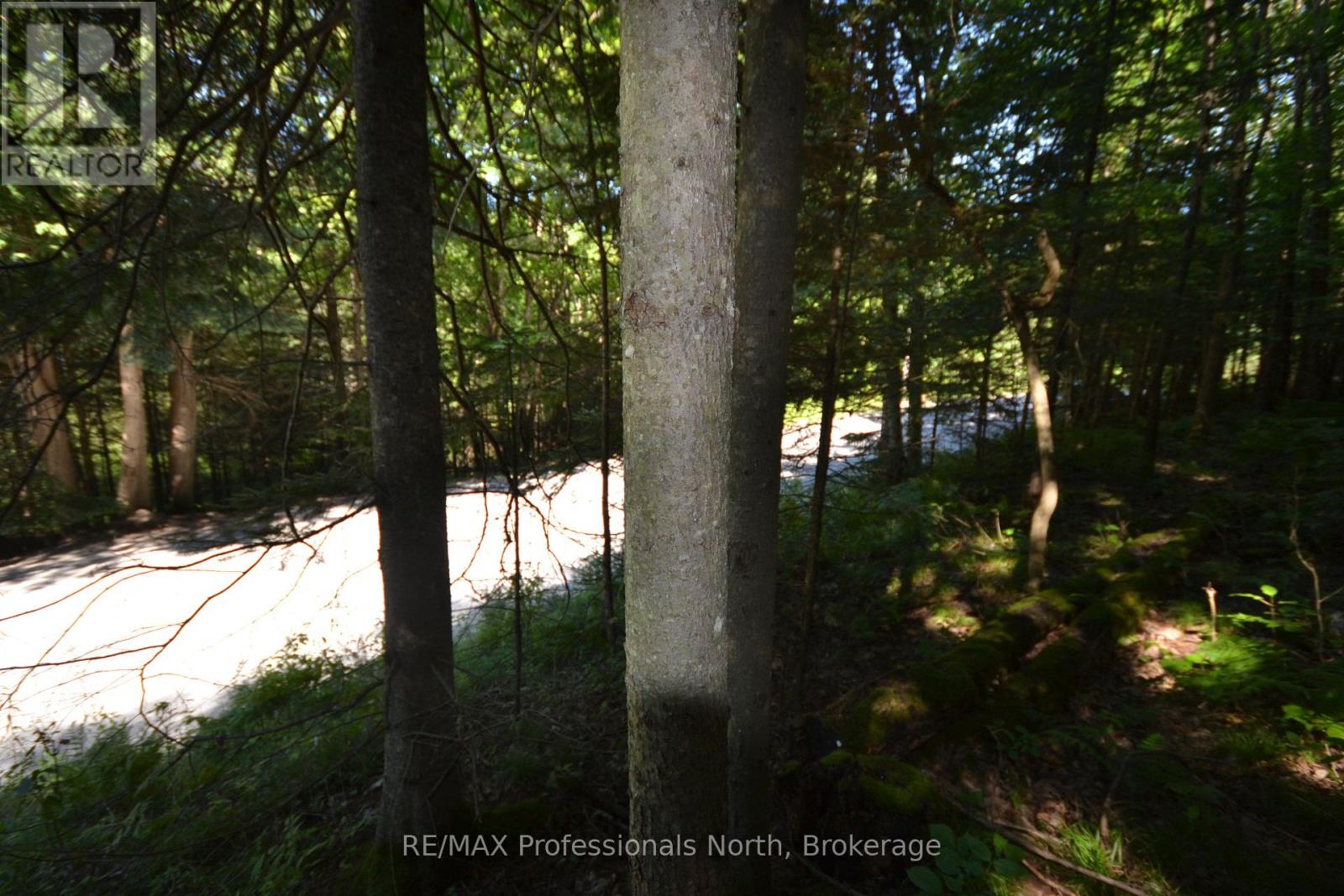 0 Fred Jones Road Property Photo 14