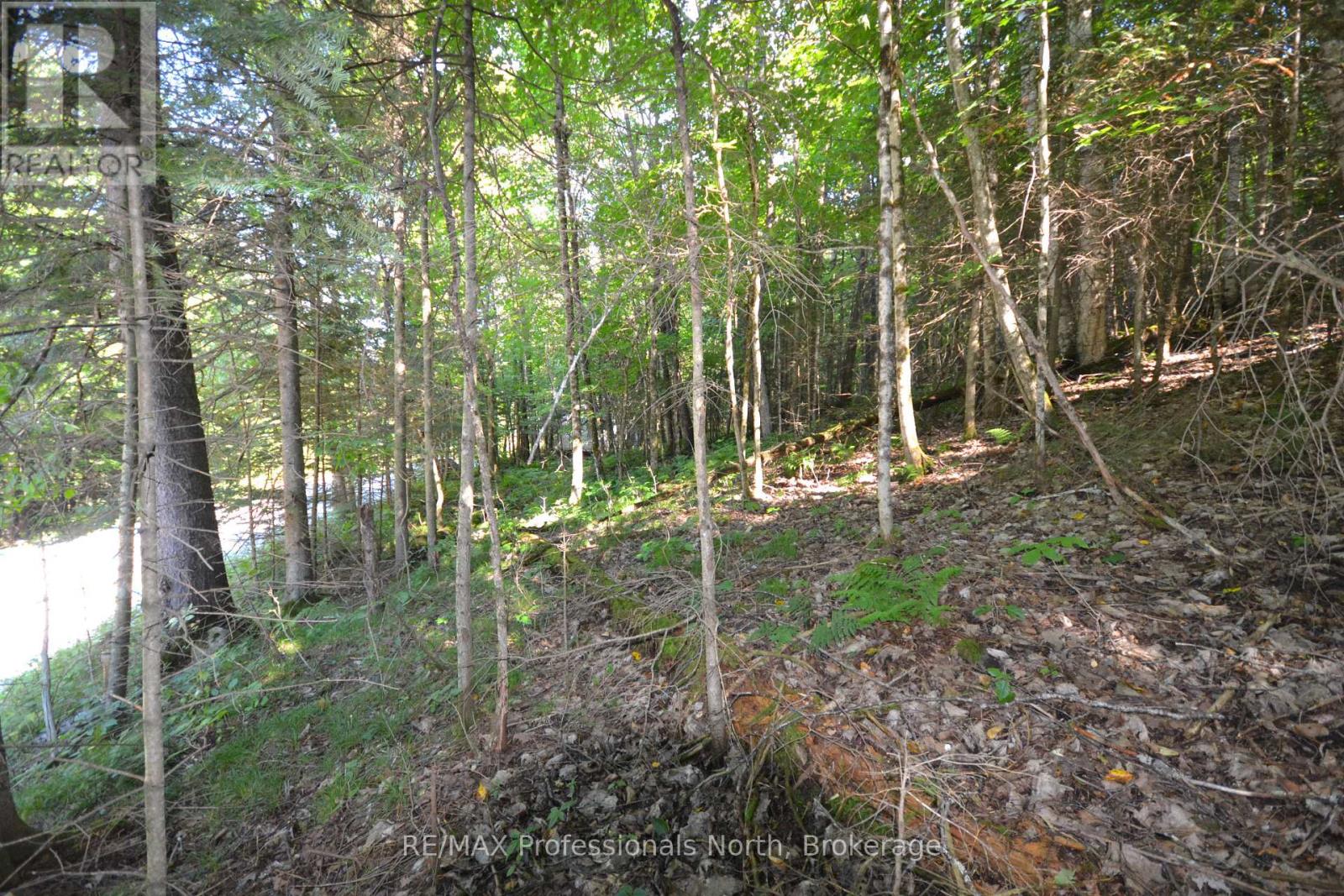 0 Fred Jones Road Property Photo 15