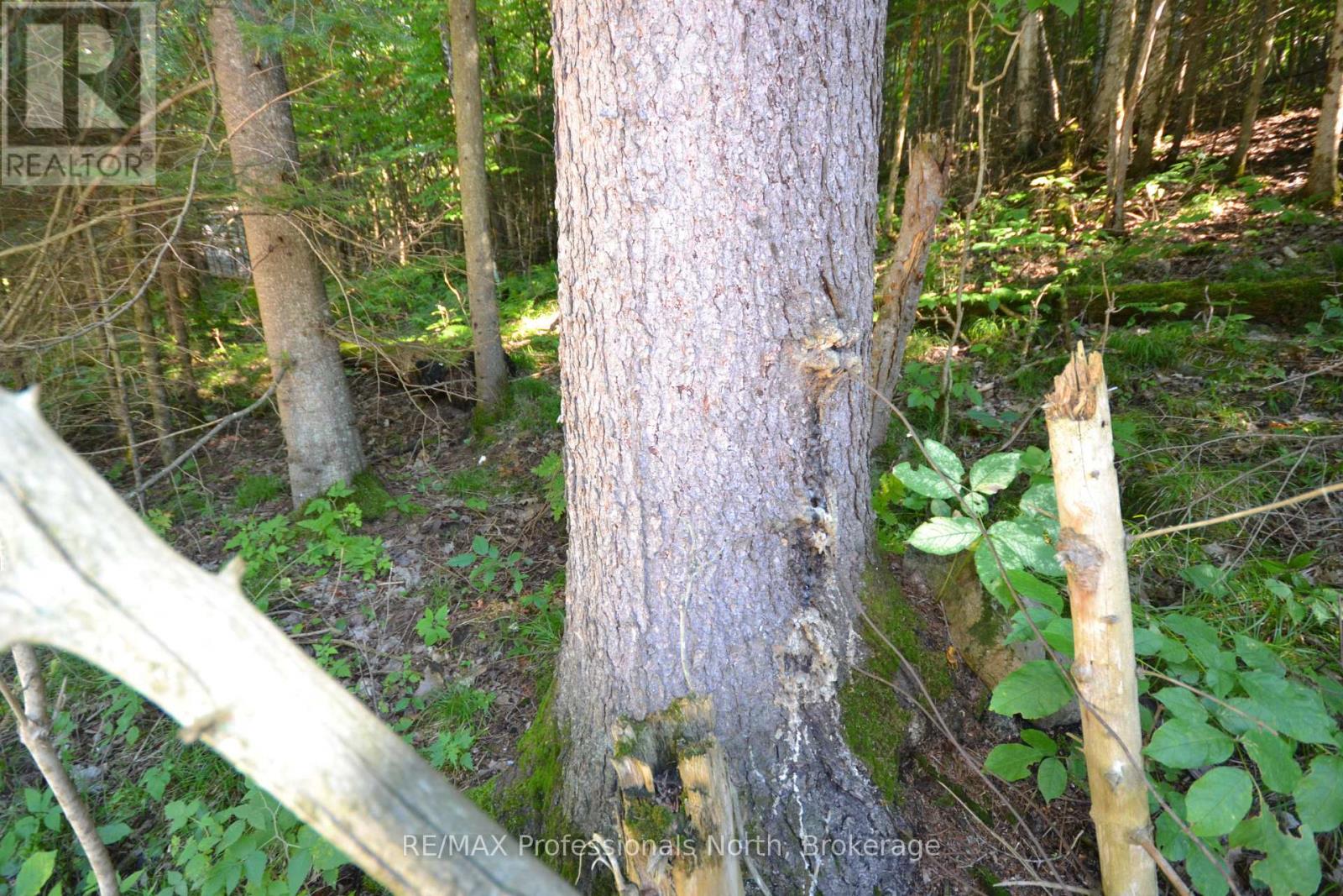 0 Fred Jones Road Property Photo 16
