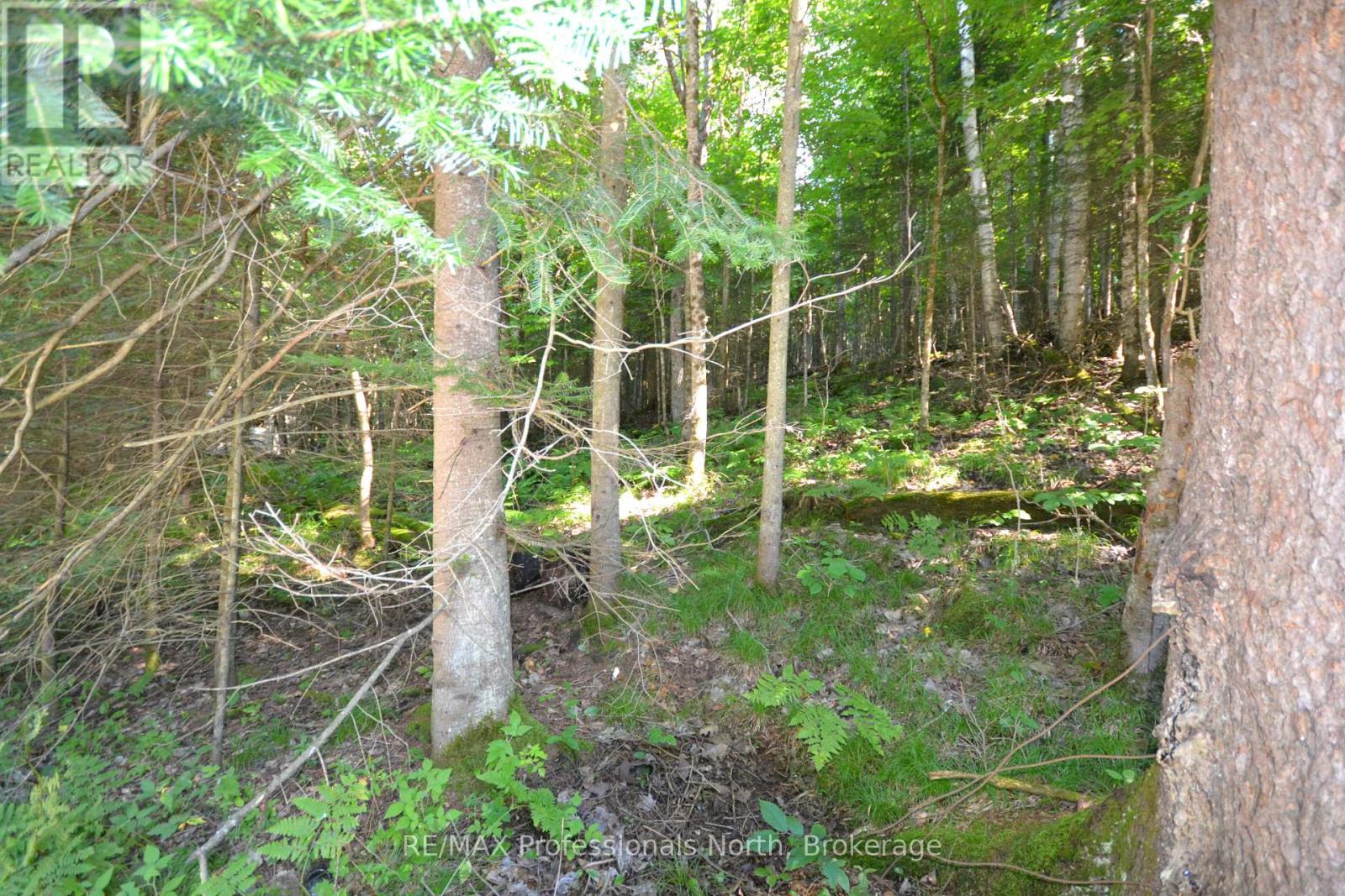 0 Fred Jones Road Property Photo 17