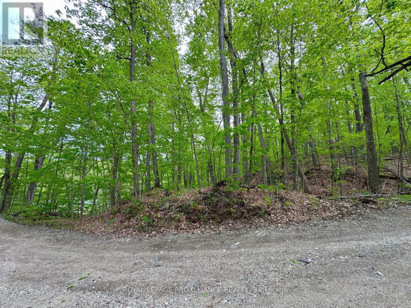 0 Granite Terrace Lane Property Photo 7